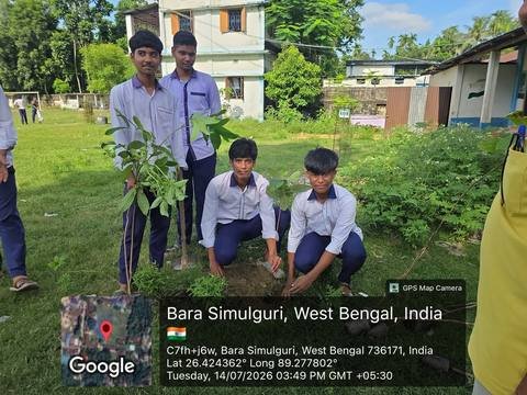 Students planting a sapling